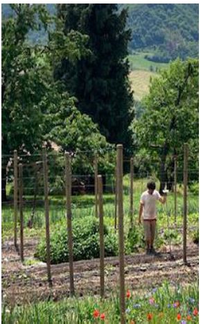 Corso di Agricoltura Biodinamica con Paolo Pistis e Elena Zaramella