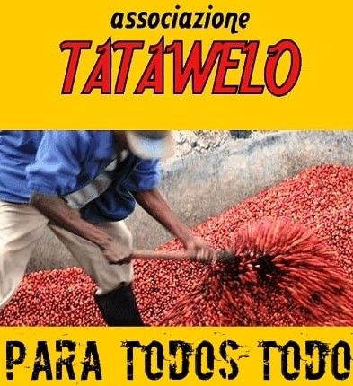 incontro online con la cooperativa Tatawelo